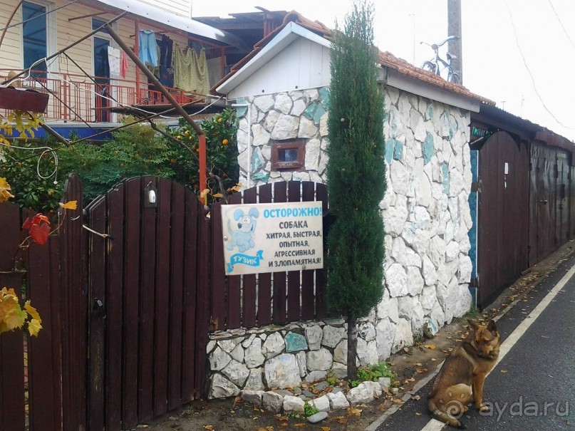 Бархатный ноябрь 2016. Сочи. Инструкция по применению. Часть 2.