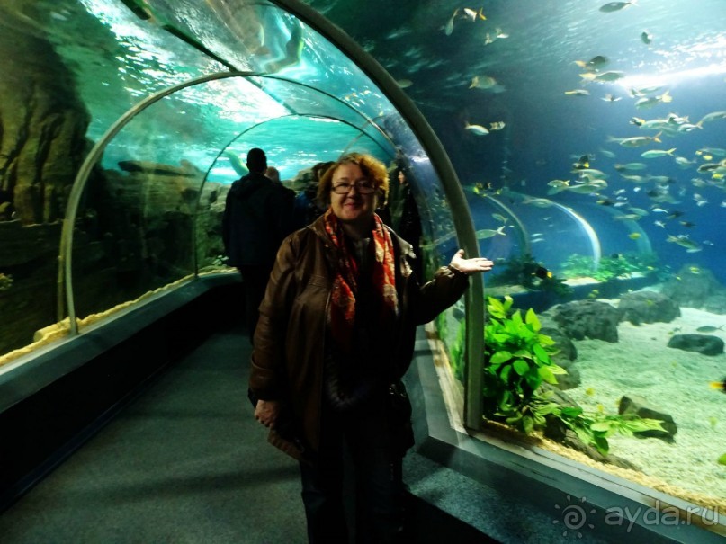 Бархатный ноябрь 2016. Сочи. Инструкция по применению. Часть 2.