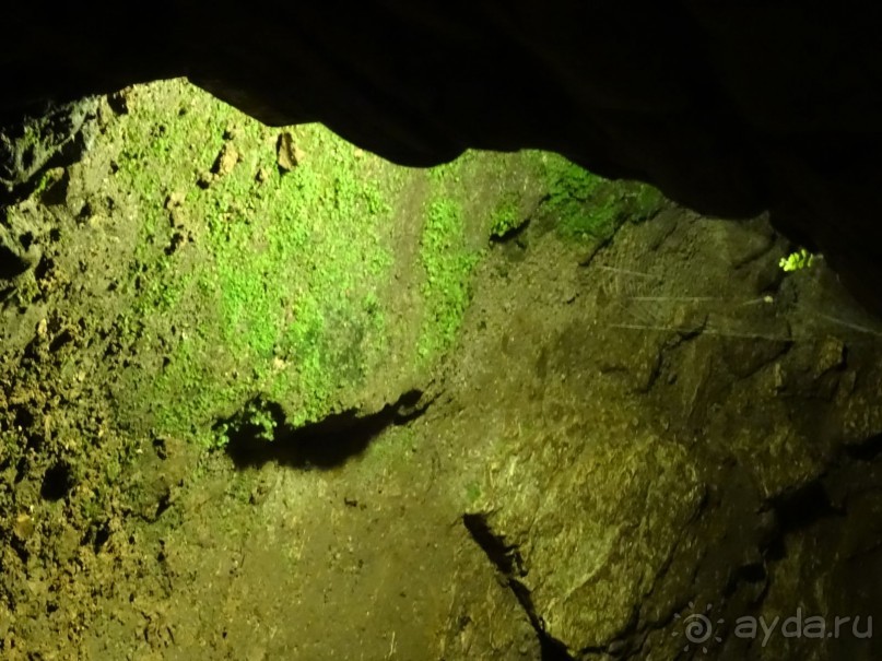 Бархатный ноябрь 2016. Сочи. Инструкция по применению. Часть 2.