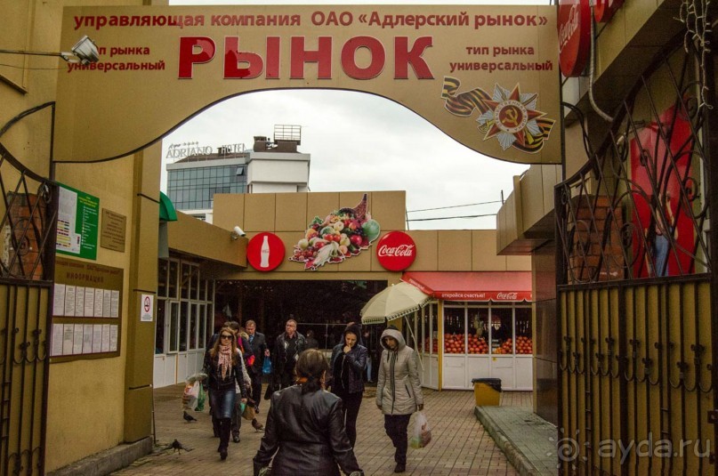 Бархатный ноябрь 2016. Сочи. Инструкция по применению. Часть 2.