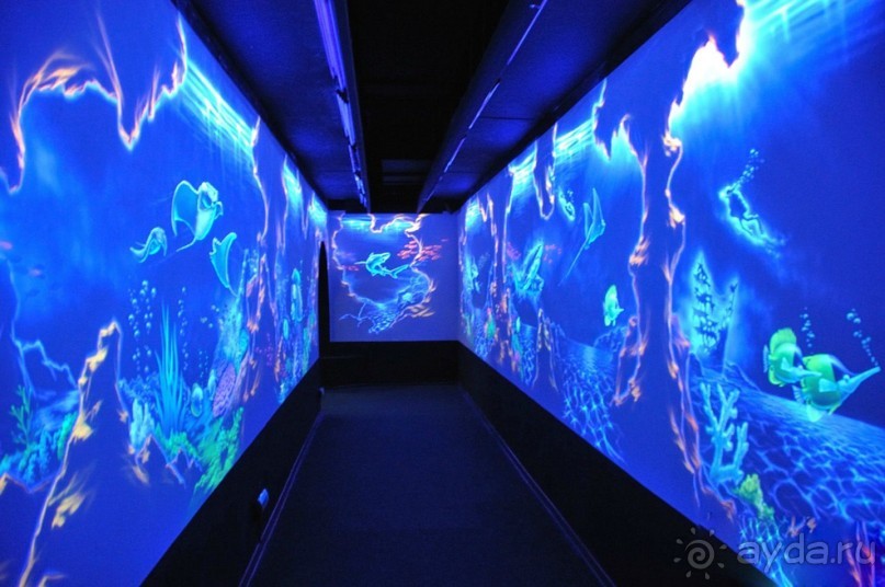 Бархатный ноябрь 2016. Сочи. Инструкция по применению. Часть 2.