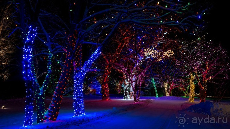 Москва в новогодних подсветках. Январь 2016. Фотогалерея.