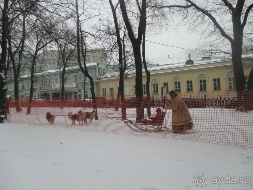 Новогодние праздники проводим, как умеем!