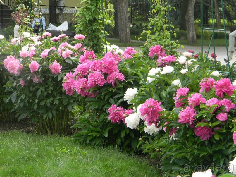 На автомобиле по Золотому Кольцу - Муром-Дивеево.