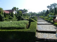 Паттайя. Тропический сад Нонг-Нуч.