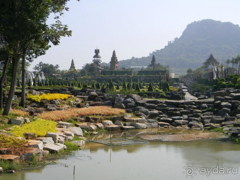 Кактусы в тропическом саду Нонг-Нуч.