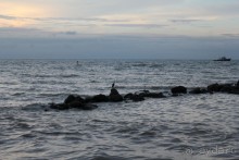 Ноябрь 2011 в Тайланде. Сказочная осень в Паттайе.