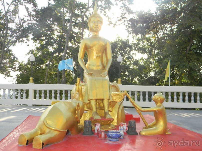 На холме Большого Будды. 