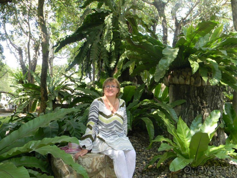 Паттайя. Сад миллионолетних камней.