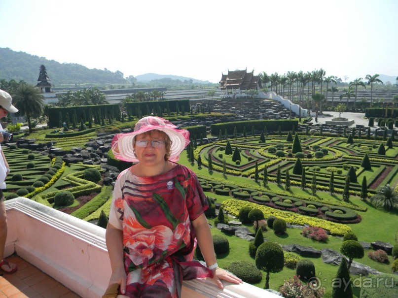 Шоу слонов в тропическом саду.   Паттайя.