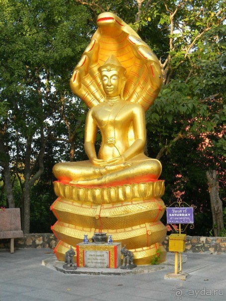 На холме Большого Будды.