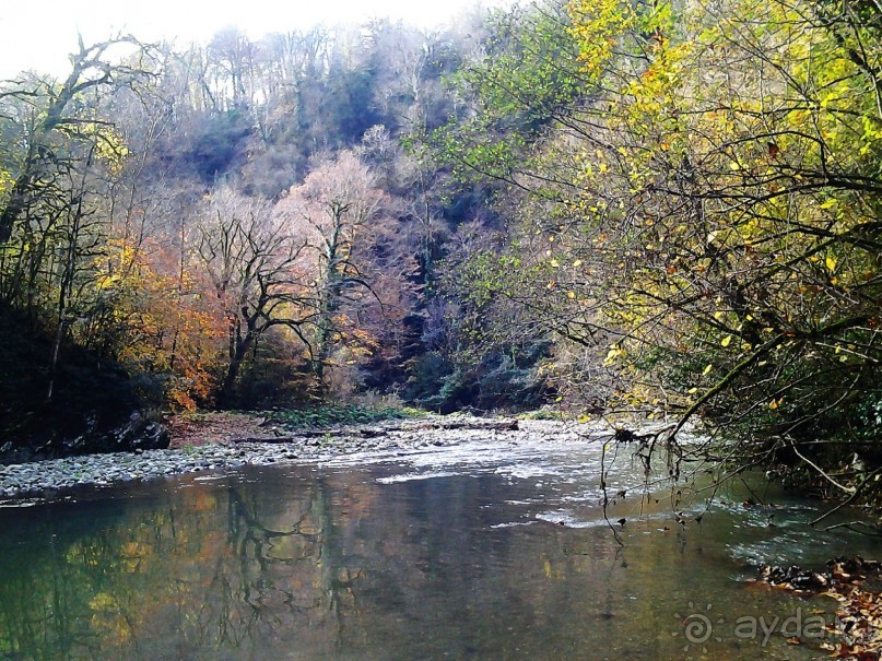 Бархатный ноябрь 2016. Сочи. Инструкция по применению. Часть 3.