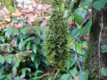 Бархатный ноябрь 2016. Сочи. Инструкция по применению. Часть 3.