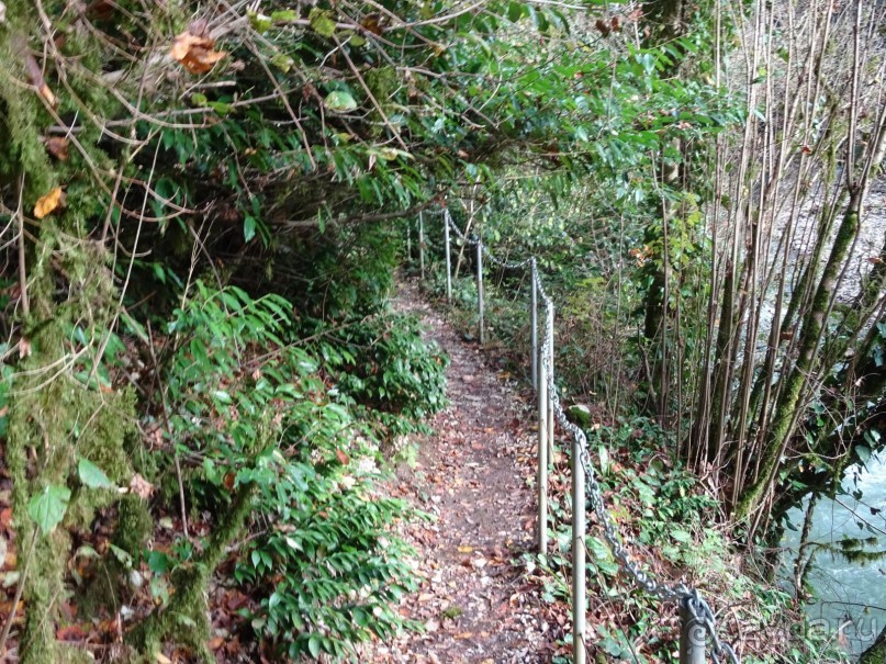 Бархатный ноябрь 2016. Сочи. Инструкция по применению. Часть 3.