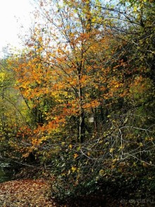 Бархатный ноябрь 2016. Сочи. Инструкция по применению. Часть 3.