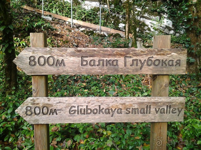 Бархатный ноябрь 2016. Сочи. Инструкция по применению. Часть 3.