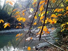 Бархатный ноябрь 2016. Сочи. Инструкция по применению. Часть 3.