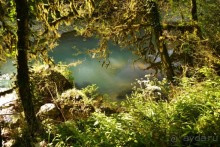 Бархатный ноябрь 2016. Сочи. Инструкция по применению. Часть 3.