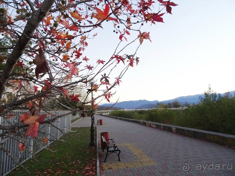 Бархатный ноябрь 2016. Сочи. Инструкция по применению. Часть 3.