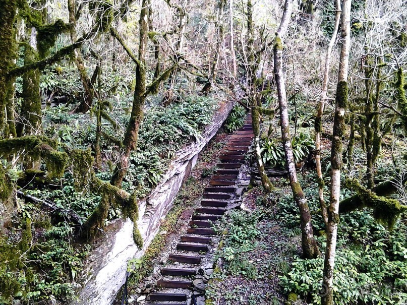 Бархатный ноябрь 2016. Сочи. Инструкция по применению. Часть 3.