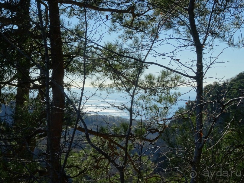 Бархатный ноябрь 2016. Сочи. Инструкция по применению. Часть 3.