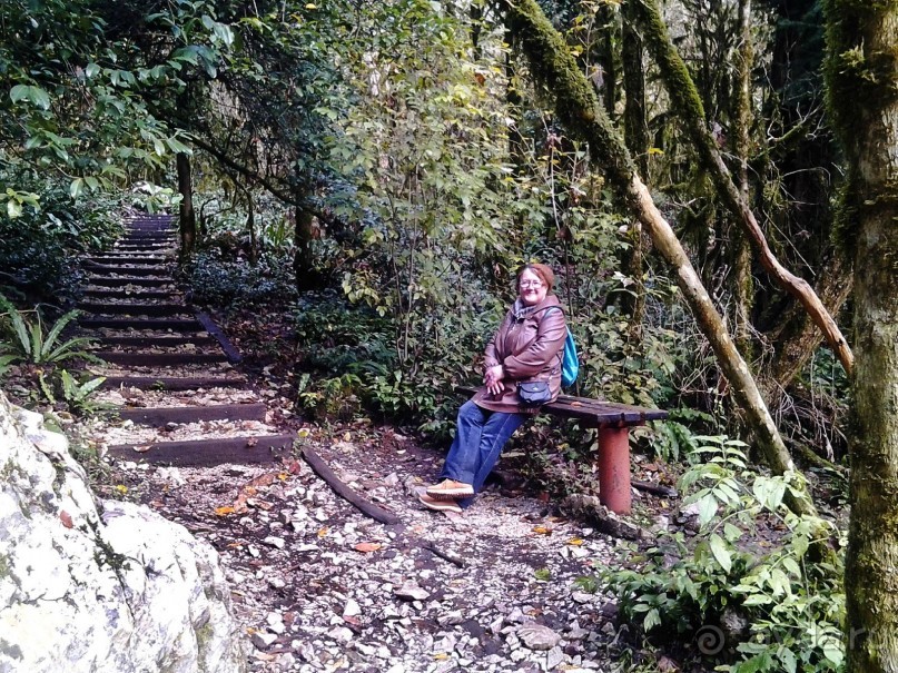 Бархатный ноябрь 2016. Сочи. Инструкция по применению. Часть 3.