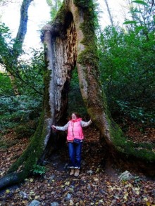 Бархатный ноябрь 2016. Сочи. Инструкция по применению. Часть 3.