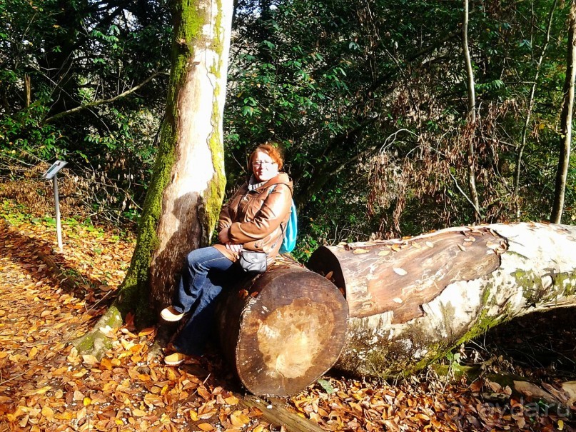 Бархатный ноябрь 2016. Сочи. Инструкция по применению. Часть 3.