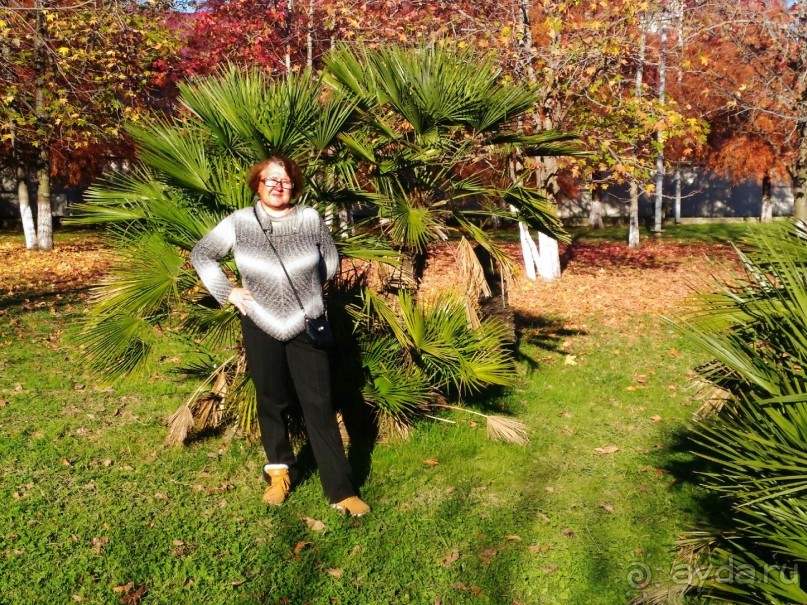 Бархатный ноябрь 2016. Сочи. Инструкция по применению. Часть 3.