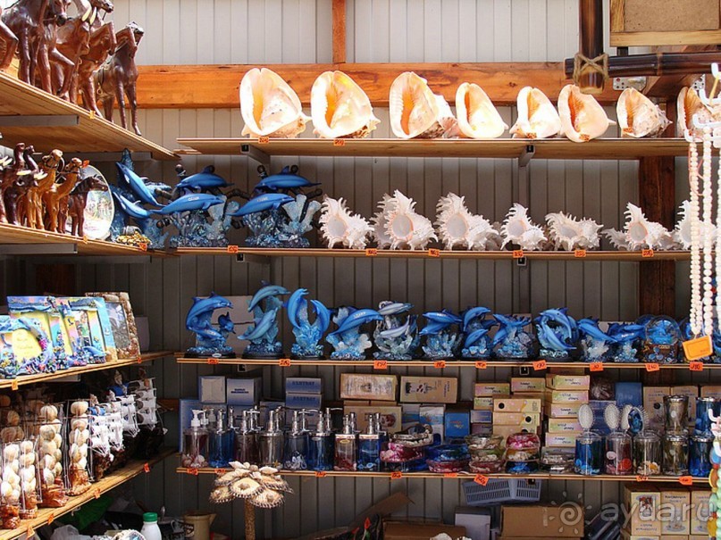 Бархатный ноябрь 2016. Сочи. Инструкция по применению. Часть 3.