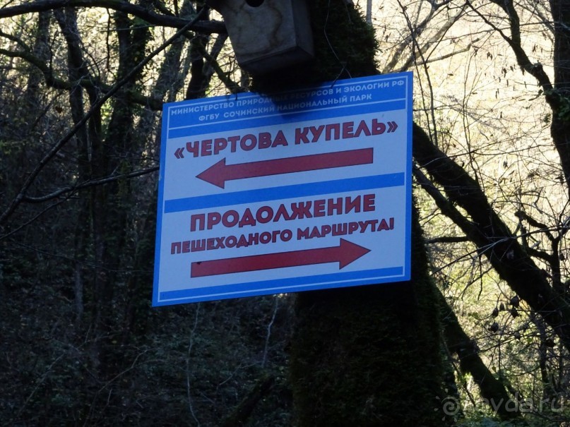 Бархатный ноябрь 2016. Сочи. Инструкция по применению. Часть 3.