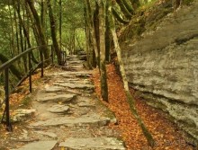 Бархатный ноябрь 2016. Сочи. Инструкция по применению. Часть 3.