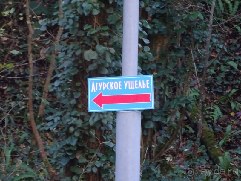 Бархатный ноябрь 2016. Сочи. Инструкция по применению. Часть 3.