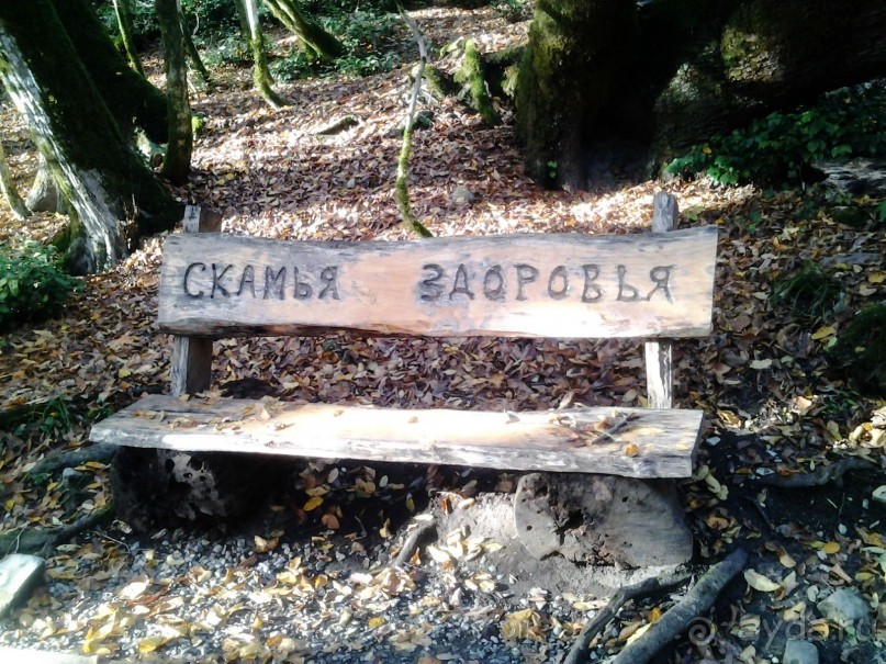 Бархатный ноябрь 2016. Сочи. Инструкция по применению. Часть 3.