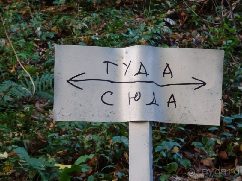 Бархатный ноябрь 2016. Сочи. Инструкция по применению. Часть 3.