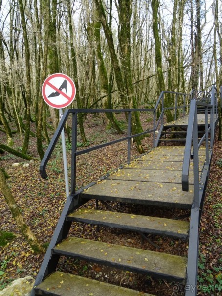 Бархатный ноябрь 2016. Сочи. Инструкция по применению. Часть 3.