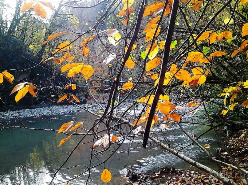 Бархатный ноябрь 2016. Сочи. Инструкция по применению. Часть 3.