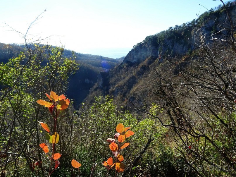 Бархатный ноябрь 2016. Сочи. Инструкция по применению. Часть 3.