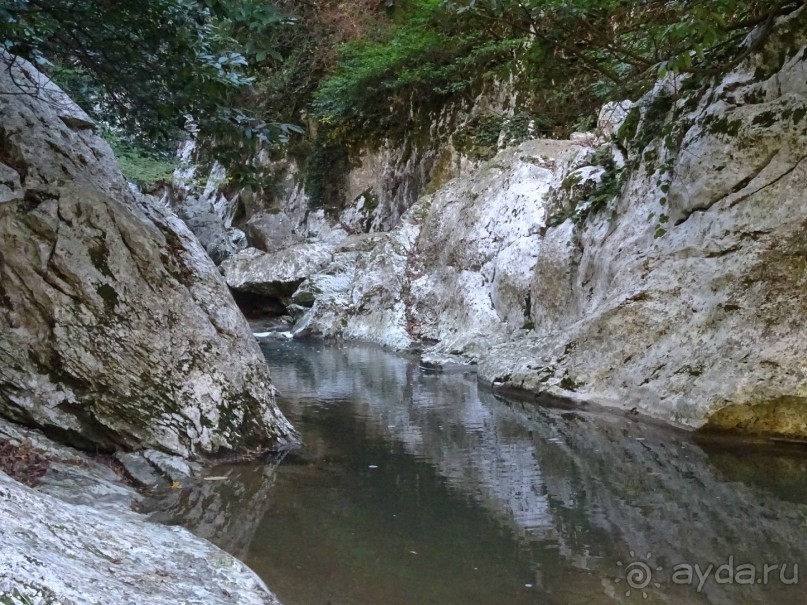 Бархатный ноябрь 2016. Сочи. Инструкция по применению. Часть 3.