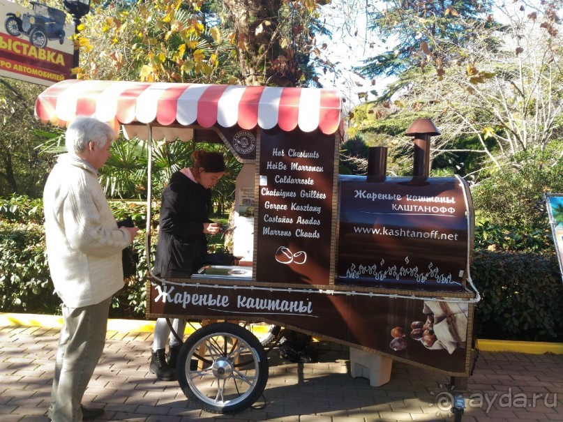 Бархатный ноябрь 2016. Сочи. Инструкция по применению. Часть 3.