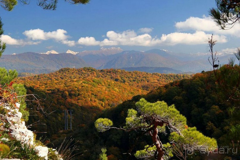 Бархатный ноябрь 2016. Сочи. Инструкция по применению. Часть 3.