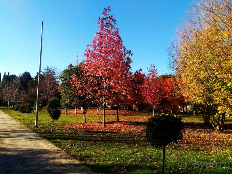 Бархатный ноябрь 2016. Сочи. Инструкция по применению. Часть 3.