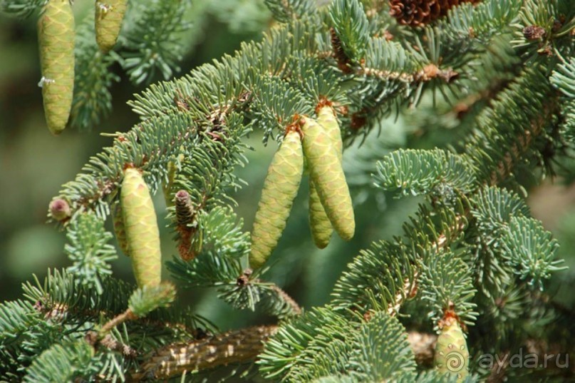 Путешествие на автомобиле :  Калуга-Оптина Пустынь-Шамордино-Козельск.