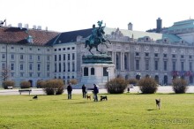 По газонам ходить!!!  С собачками гулять!!!  И все это прямо в центре Вены у дворца Хофбург -зимней резиденции Габсбургов.