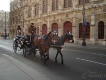 Венская государственная опера имеет систему репертуара: более 50 постановок состоят в игровом плане. Поэтому Опера 10 месяцев в году может давать представления почти ежедневно