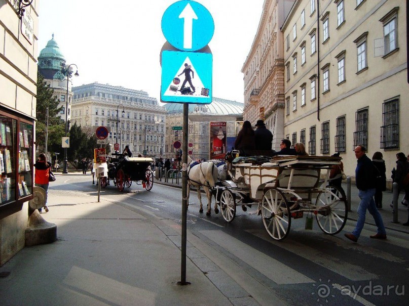 До свидания, Вена - прекрасный, понятный, музыкальный город!  До будущих встреч!