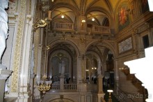 Экскурсии по зданию Венской государственной оперы (Wiener Staatsoper)
продолжительностью 45 минут проводятся со вторника по воскресенье (несколько раз в день) и включают осмотр входного фойе, парадной лестницы, чайного салона, мраморного зала, фойе Морица Швинда, зала Густава Малера и зрительного зала. Во время экскурсии гид рассказывает интересные факты о Венской опере, истории и архитектуре здания. 
