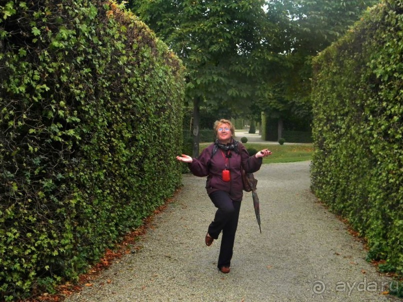 Галопом по Вене.  Сентябрь 2013.