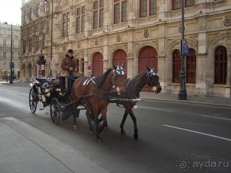 Венская государственная опера имеет систему репертуара: более 50 постановок состоят в игровом плане. Поэтому Опера 10 месяцев в году может давать представления почти ежедневно