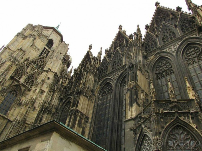 При Рудольфе IV началось строительство готического продольного нефа (с 1259 г.), южная башня (башня св. Стефана) была завершена в 1433 г. Работу над Северной башней начал в 1511 г. Ганс Пуксбаум, а в 1556 г. была установлена колокольня. Пик реставрационных работ пришелся на XIX в.